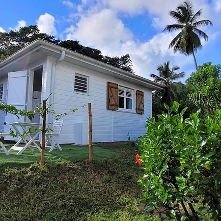 Ti-Hibiscus Bungalow T1 Clim-Wifi 30M2 2 Pers Grande Savane Zewnętrze zdjęcie